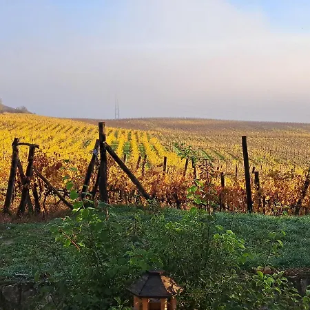 Macskajaj Vendeghaz *