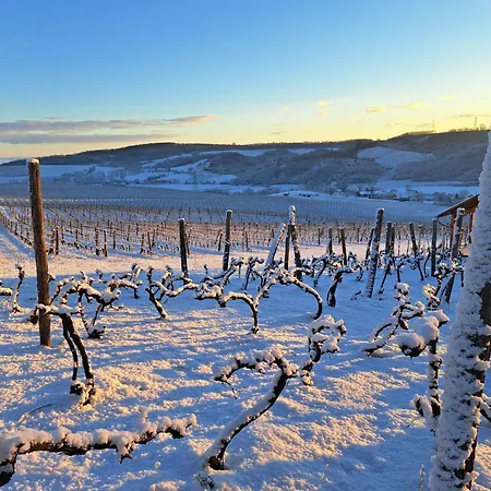 Macskajaj Vendeghaz * Mecseknádasd